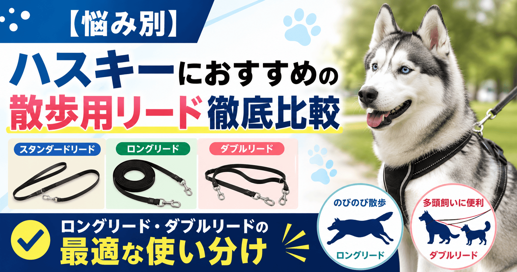 シベリアンハスキーにおすすめの散歩用リードを、スタンダードリード・ロングリード・ダブルリード別に比較し、最適な使い分けを紹介するアイキャッチ画像