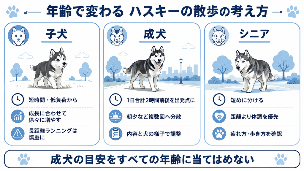 子犬・成犬・シニアのハスキーで異なる散歩の考え方