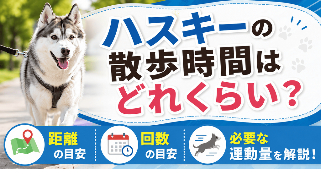 リードを付けたシベリアンハスキーと「ハスキーの散歩時間はどれくらい？」の文字、散歩距離・回数・必要な運動量の目安を示す画像