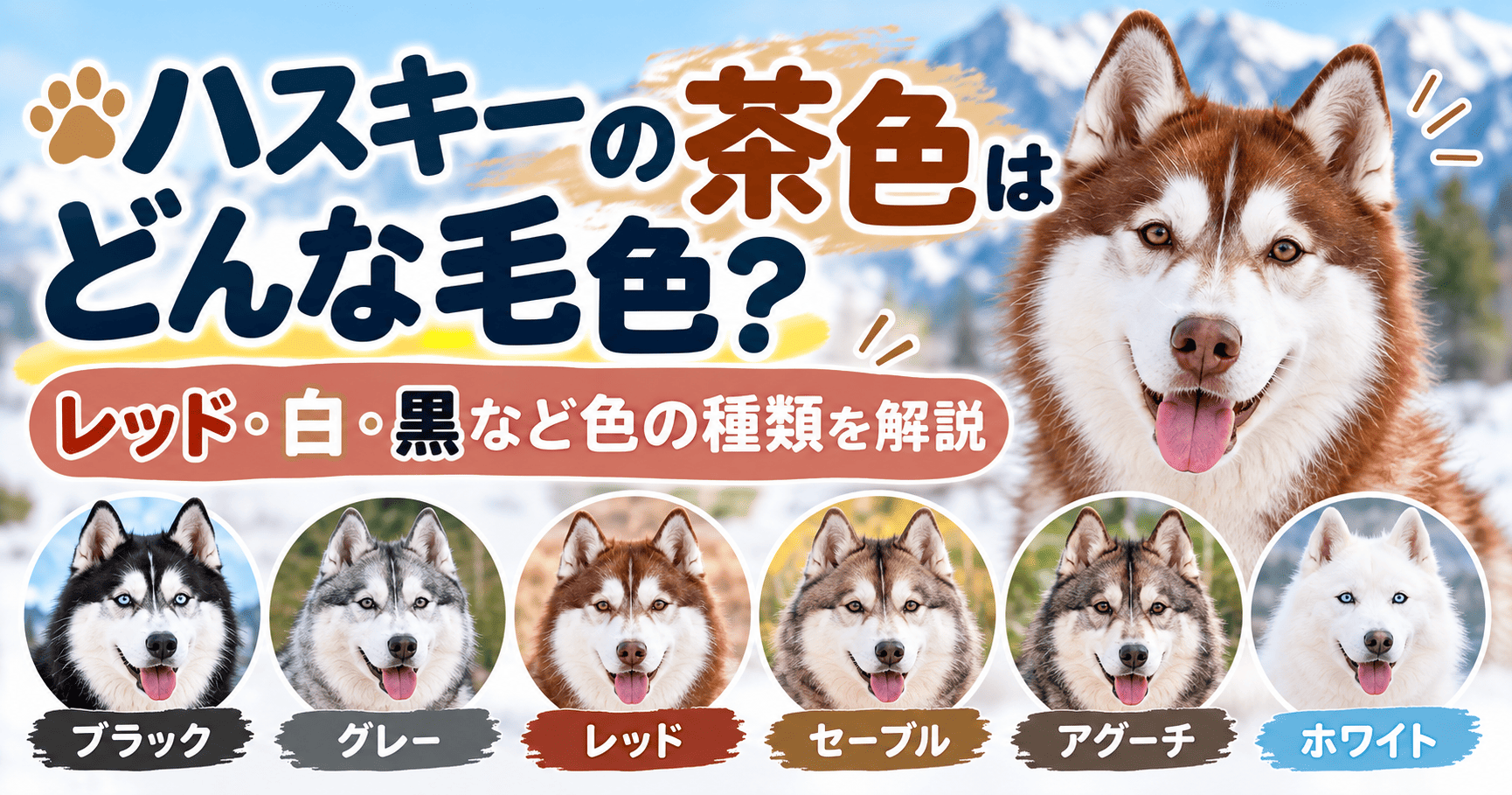 雪山を背景にしたシベリアンハスキーと、ブラック・グレー・レッド・セーブル・アグーチ・ホワイトの代表的な毛色6種類を紹介する画像