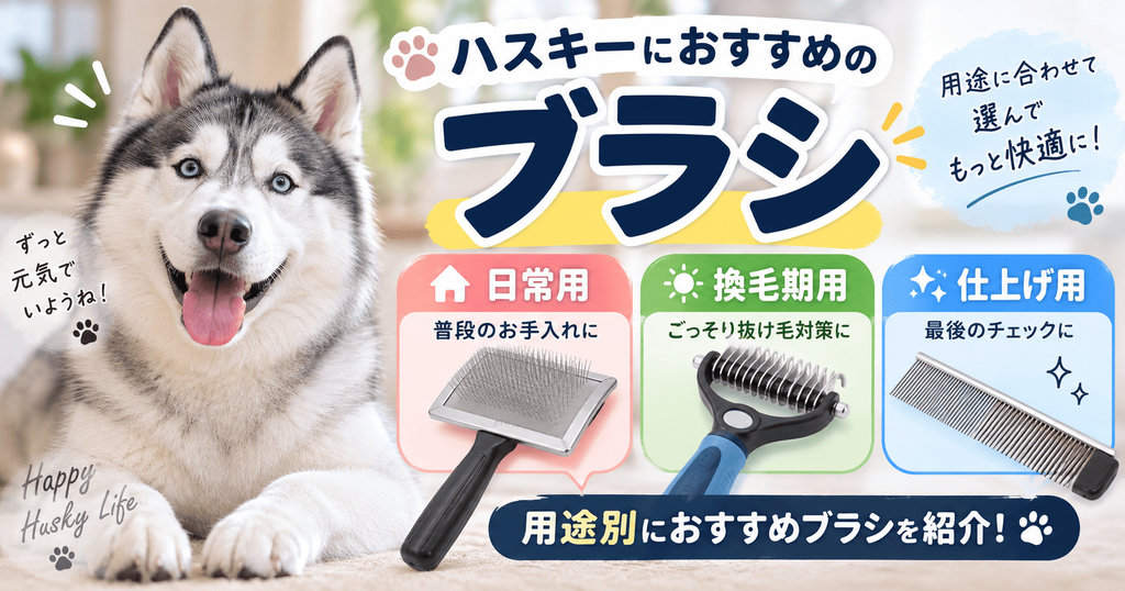 シベリアンハスキーと、日常用のスリッカーブラシ・換毛期用の抜け毛ブラシ・仕上げ用コームを用途別に紹介する画像