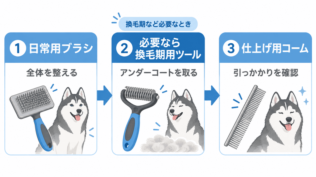 ハスキーのブラッシングを日常用ブラシ、換毛期用ツール、コームの順に行う流れ