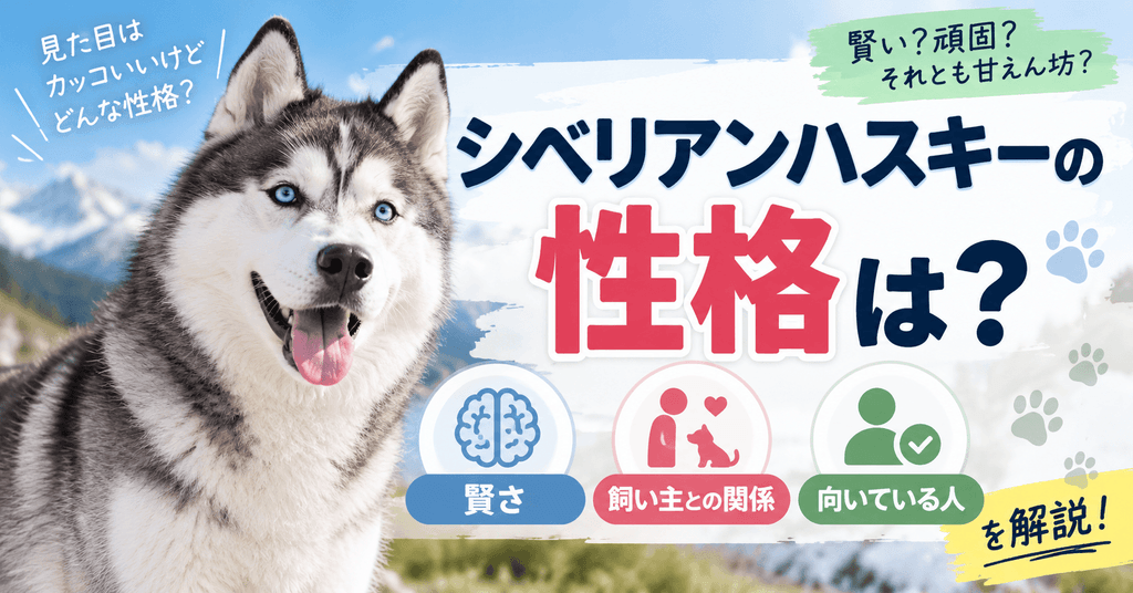 青い目のシベリアンハスキーと「シベリアンハスキーの性格は？」の文字、賢さ・飼い主との関係・向いている人を紹介する画像