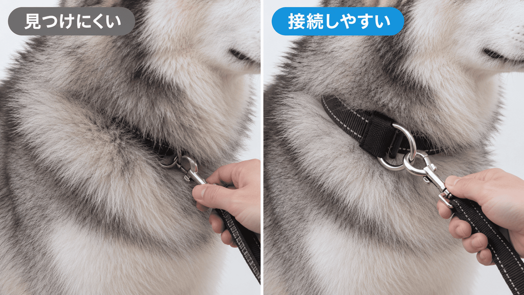 ハスキーの厚い被毛に埋もれるDリングと見つけやすいリード接続リングの比較