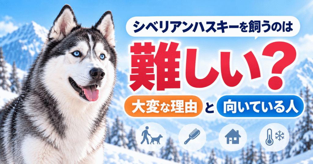 雪山を背景に青い目のシベリアンハスキーと「飼うのは難しい？大変な理由と向いている人」と書かれた画像