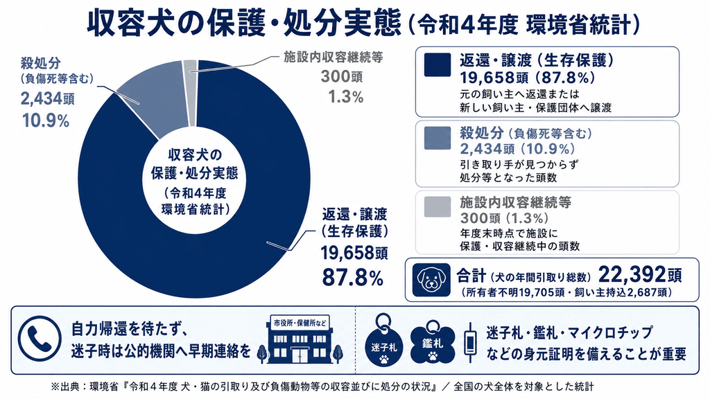 環境省の令和4年度統計をもとに、収容犬22,392頭のうち返還・譲渡が19,658頭(87.8%)、殺処分等が2,434頭(10.9%)、施設内収容継続等が300頭(1.3%)であることを円グラフで示し、迷子時の早期連絡や迷子札・鑑札・マイクロチップの重要性を紹介した図。
