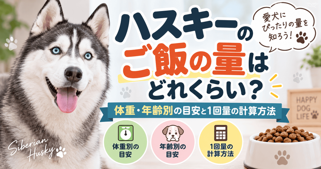 シベリアンハスキーとドッグフードを背景に、体重・年齢別のご飯量の目安と1回量の計算方法を紹介する画像