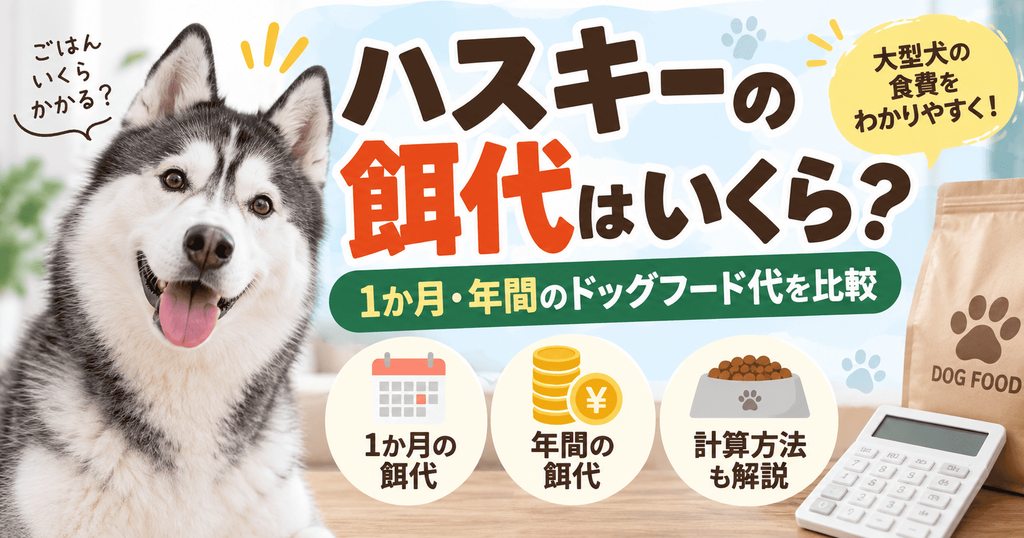 シベリアンハスキーとドッグフード、電卓を配置し、1か月・年間の餌代と計算方法を紹介するイメージ