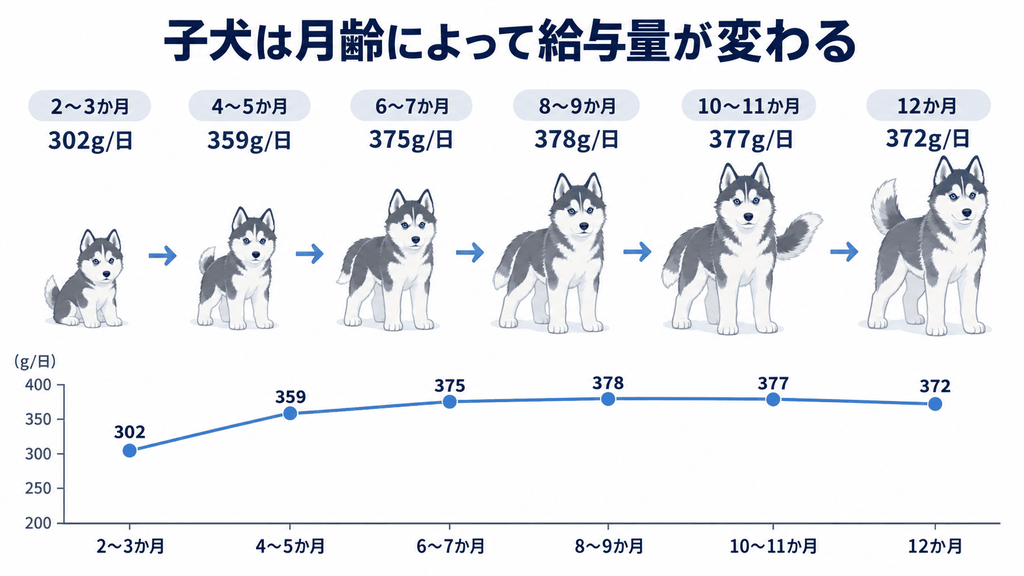 成犬時体重25kgを想定したハスキーの生後2〜12か月の1日給与量の変化
