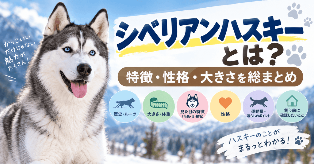 雪山を背景にしたシベリアンハスキーと、歴史・大きさ・見た目・性格・運動量・飼う前のポイントを紹介する解説画像