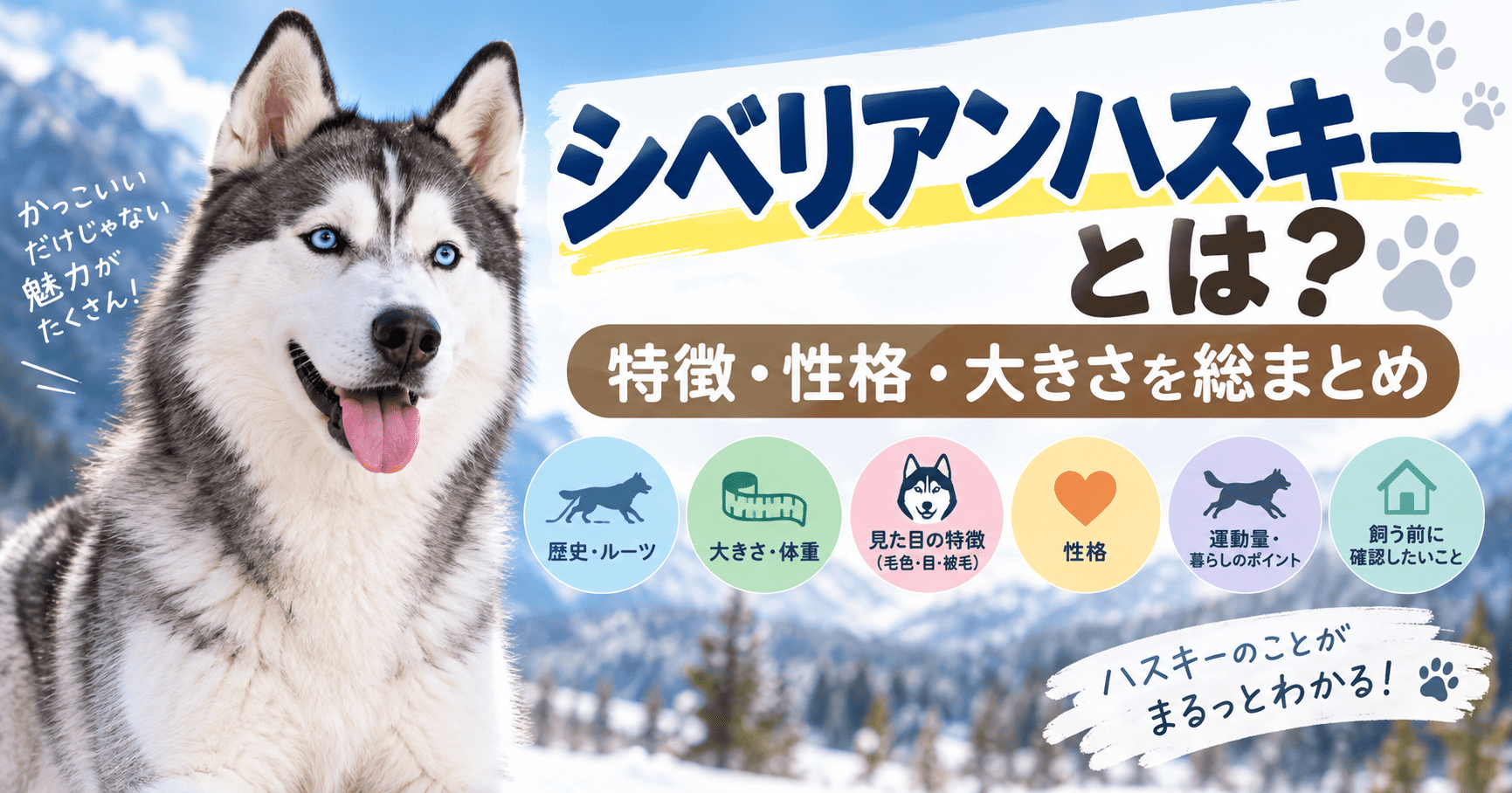 雪山を背景にしたシベリアンハスキーと、歴史・大きさ・見た目・性格・運動量・飼う前のポイントを紹介する解説画像