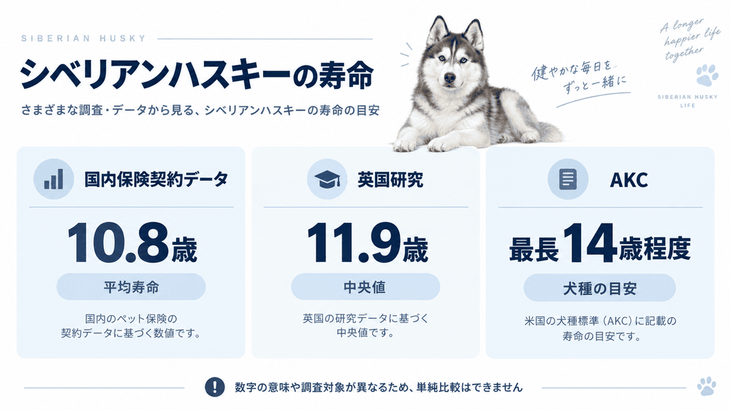 シベリアンハスキーの寿命に関する3つの代表的な目安