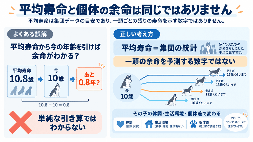 平均寿命から一頭の犬の余命は計算できないことを示す図