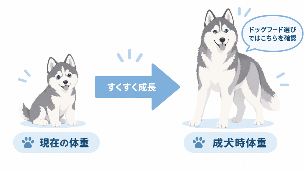 子犬の現在体重ではなく将来の成犬時体重を確認する考え方の図
