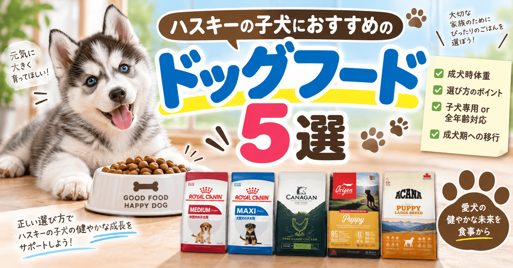 ハスキーの子犬と、ロイヤルカナン・カナガン・オリジン・アカナなどおすすめドッグフード5種類を紹介する比較画像