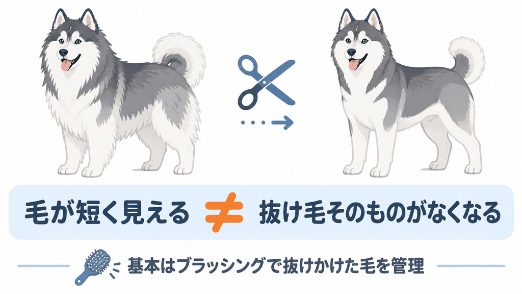 ハスキーは毛を短くしても抜け毛そのものがなくなるわけではないことを示す図