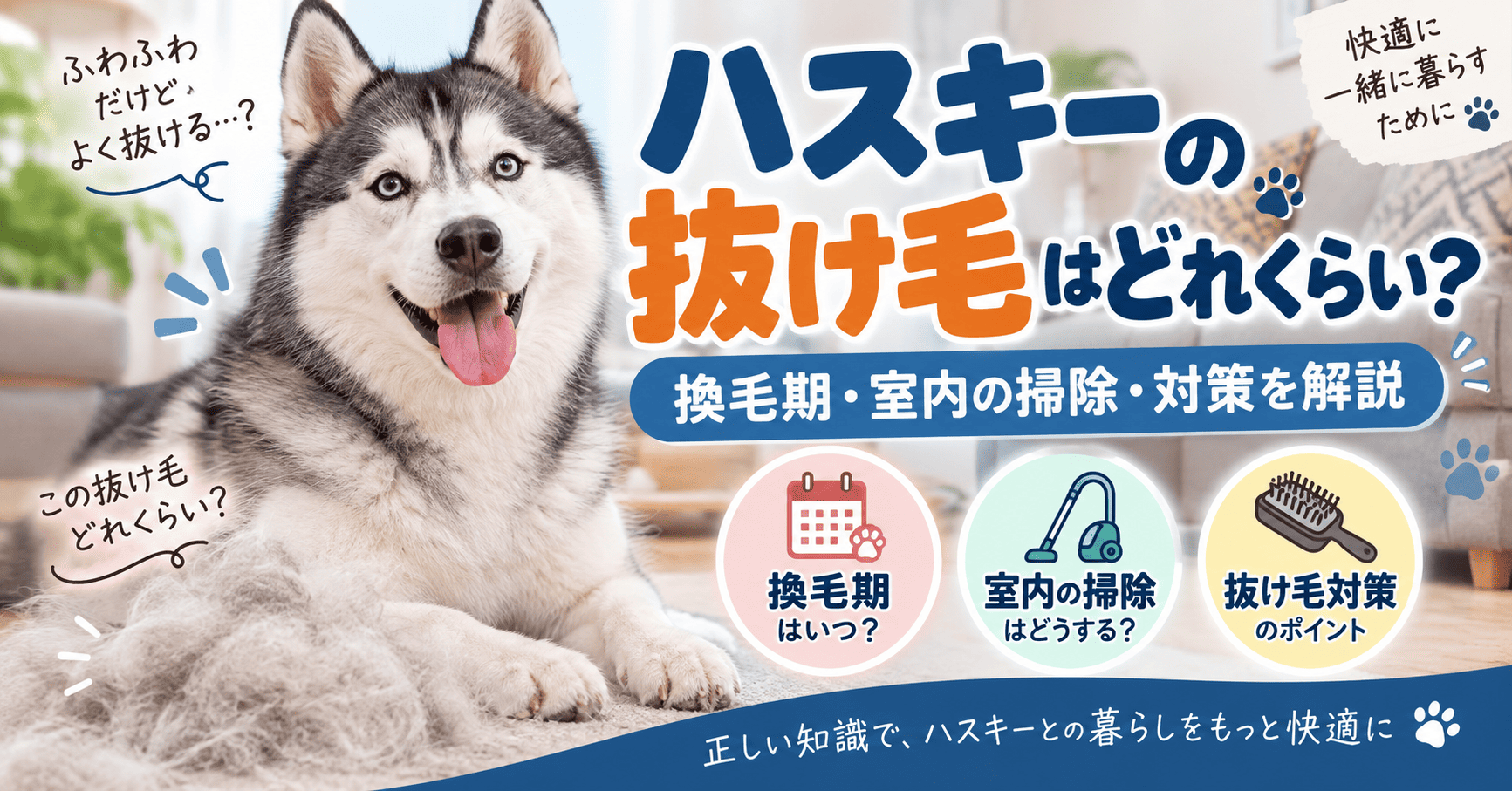 シベリアンハスキーと大量の抜け毛を背景に、換毛期の時期や室内掃除、ブラッシングによる抜け毛対策のポイントを紹介する画像