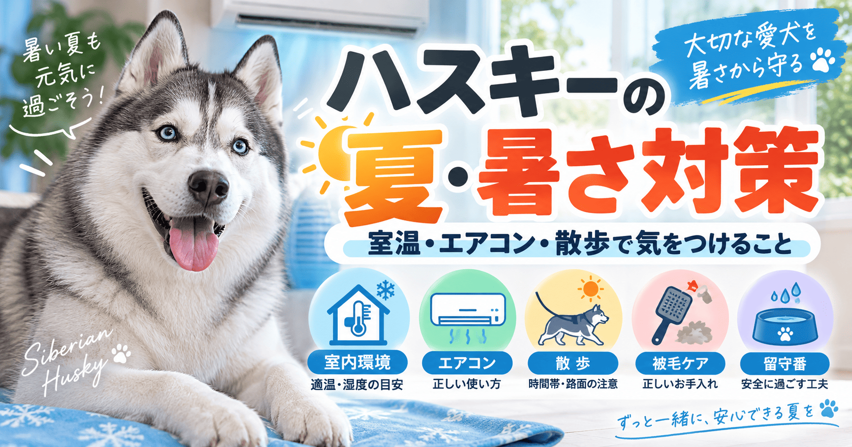 室内でくつろぐシベリアンハスキーと、室温・エアコン・散歩・被毛ケア・留守番の夏の暑さ対策を紹介する画像