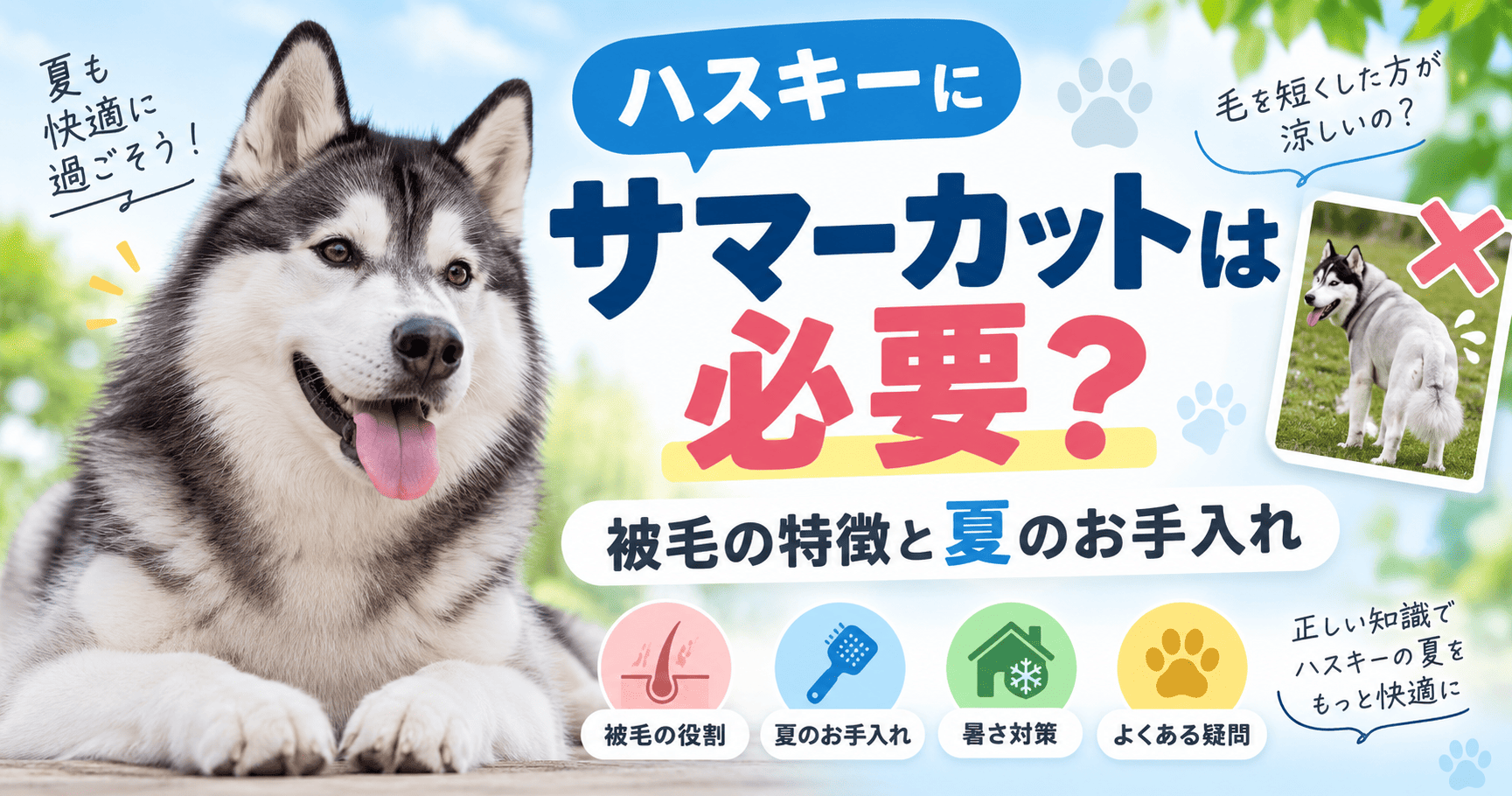 シベリアンハスキーの写真と「ハスキーにサマーカットは必要?」の見出しを中心に、被毛の役割・夏のお手入れ・暑さ対策・よくある疑問を紹介する画像