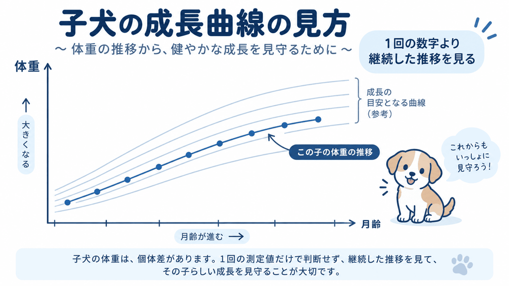 子犬の体重を一度の数値ではなく成長曲線の推移で確認するイメージ
